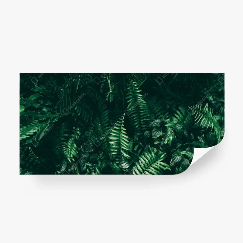 Papier peint mur de feuillage tropical sombre – Wallnifity® Papier peint mur de feuillage tropical sombre – Wallnifity®