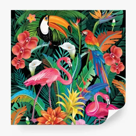 Papier peint jungle tropicale aux oiseaux colorés – Wallnifity®