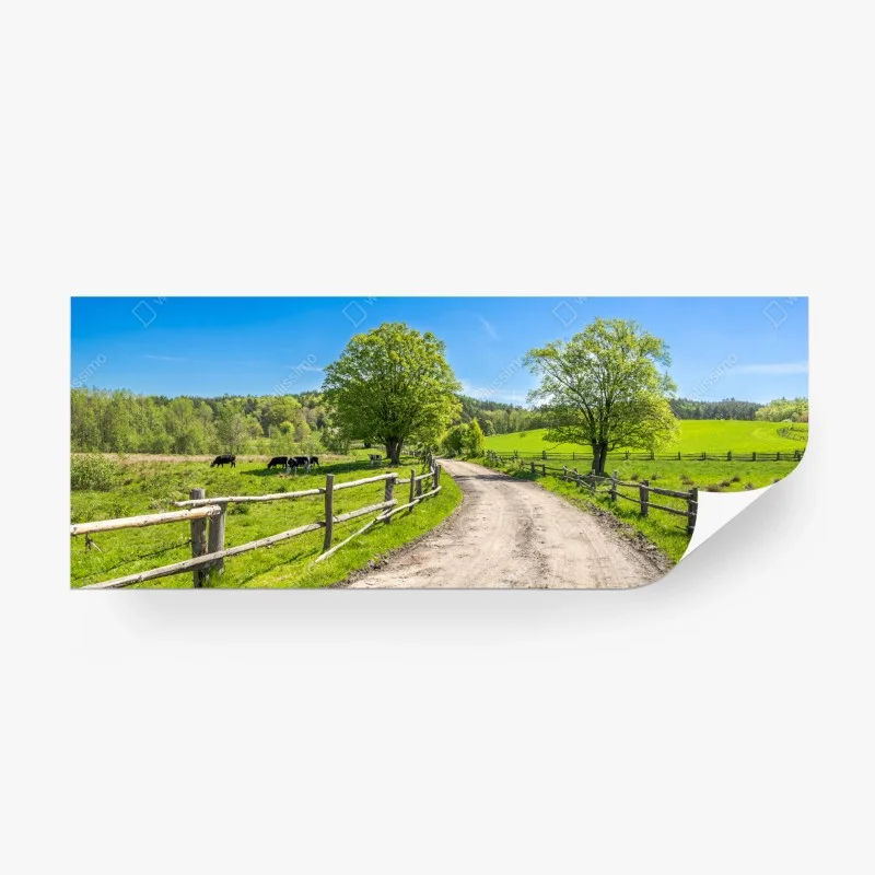 Papier peint chemin de campagne verdoyant sous un ciel bleu – Wallnifity® Papier peint chemin de campagne verdoyant sous un ciel bleu – Wallnifity®