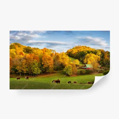 Papier peint paysage d'automne avec vaches et grange rouge – Wallnifity®