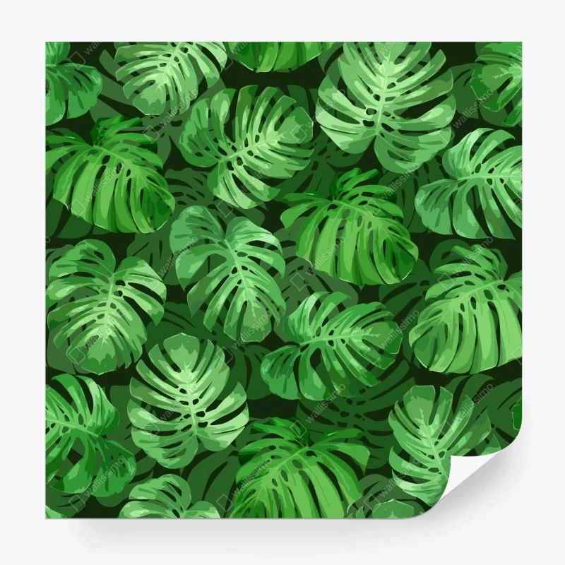 Papier peint motif tropical de feuilles de monstera – Wallnifity®