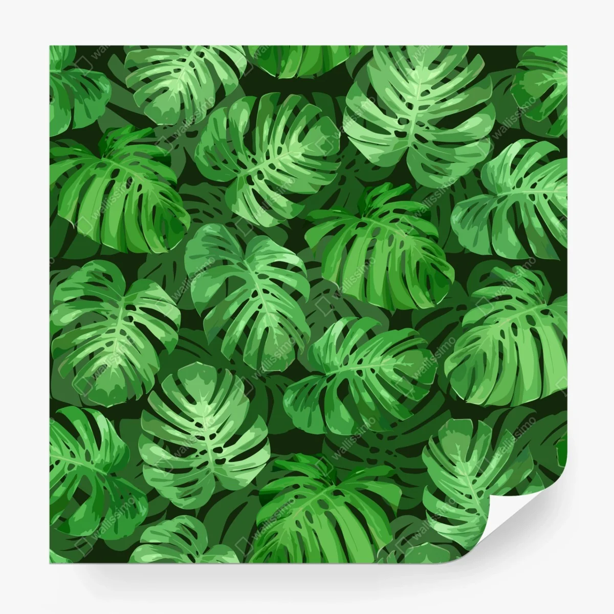 Papier peint motif tropical de feuilles de monstera – Wallnifity®