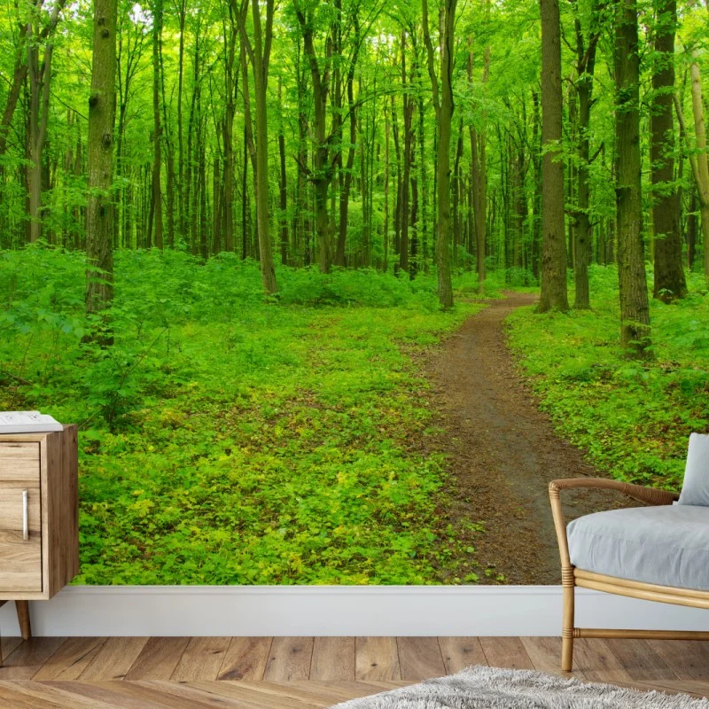 Papier peint forêt verdoyante et sentier sinueux – Wallnifity® Papier peint forêt verdoyante et sentier sinueux – Wallnifity®