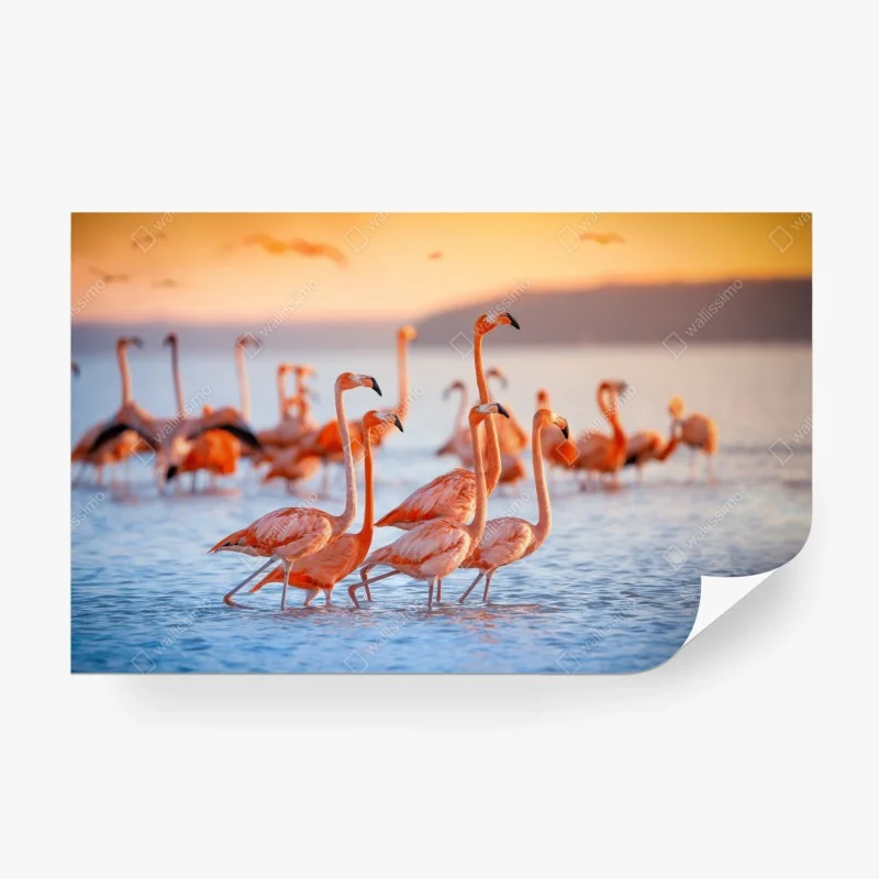 Papier peint élégance des flamants au crépuscule – Wallnifity® Papier peint élégance des flamants au crépuscule – Wallnifity®