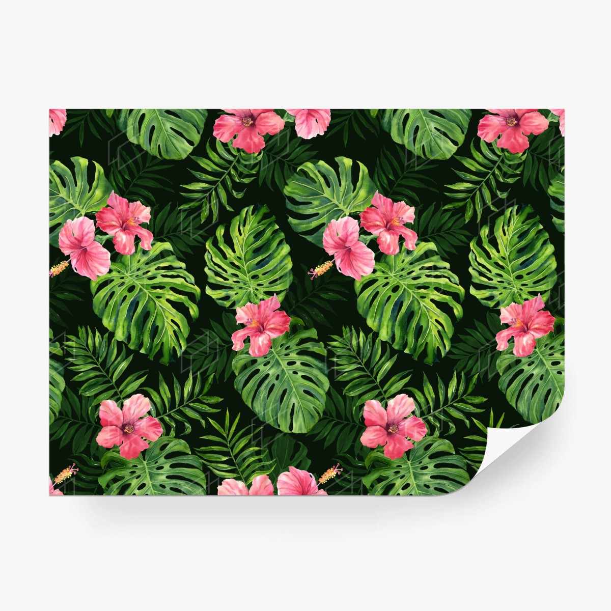 Papier peint motif tropical feuilles de monstera et hibiscus roses – Wallnifity®