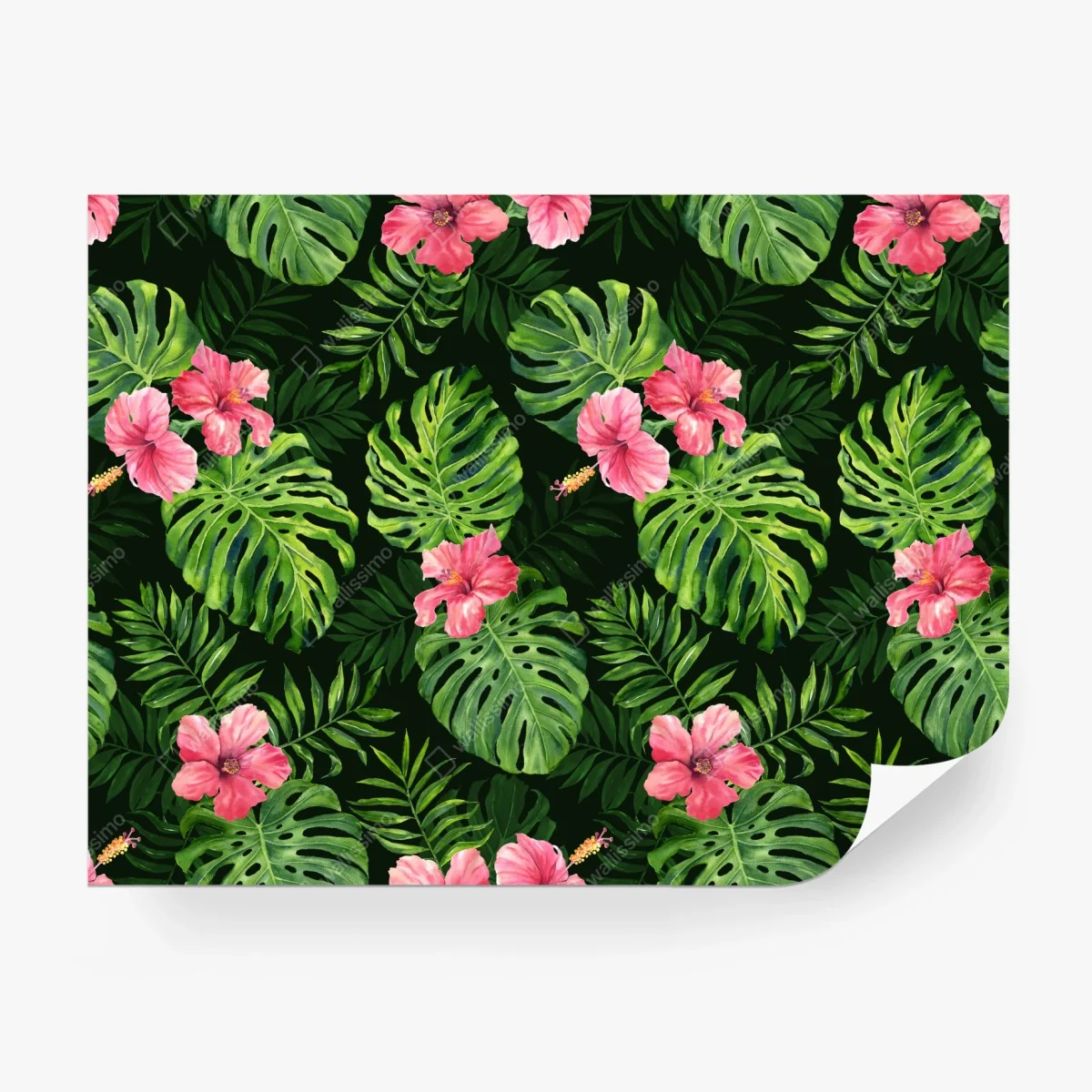 Papier peint motif tropical feuilles de monstera et hibiscus roses – Wallnifity® Papier peint motif tropical feuilles de monstera et hibiscus roses – Wallnifity®
