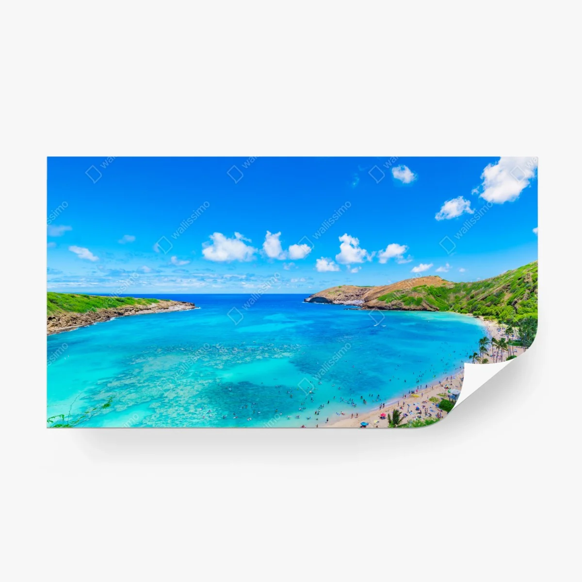 Papier peint baie tropicale aux eaux turquoises et sable doré – Wallnifity®