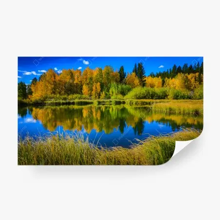 Papier peint reflet d'automne sur l'étang – Wallnifity®