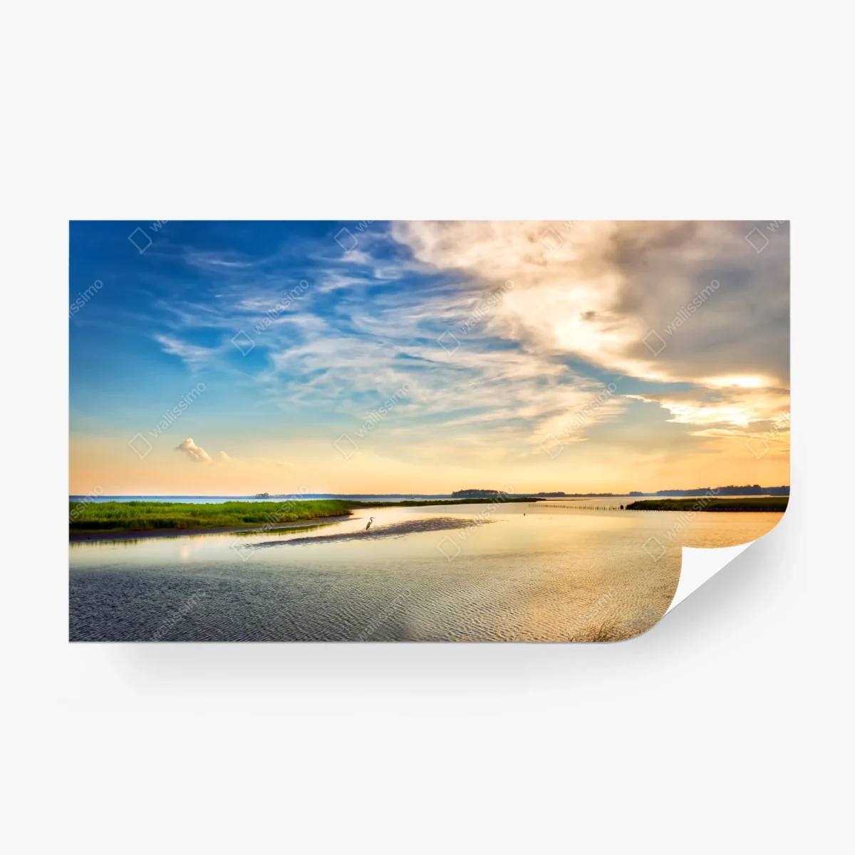Papier peint grand héron au crépuscule sur la baie de Chesapeake – Wallnifity®