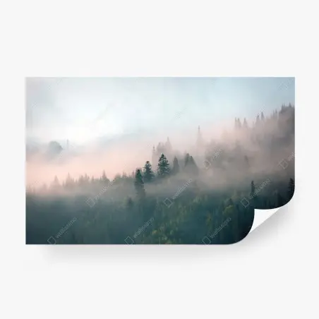 Papier peint brume matinale en forêt – Wallnifity®
