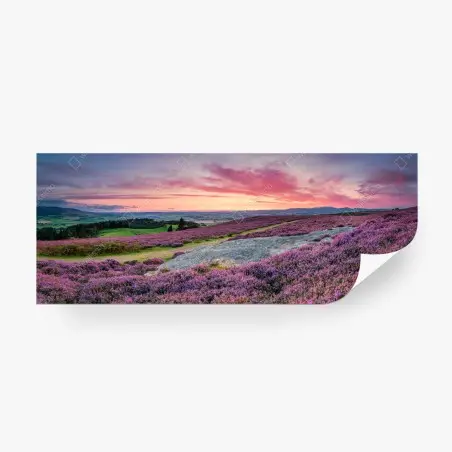 Papier peint terrasses de Rothbury au coucher de soleil – Wallnifity®
