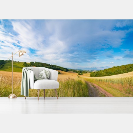 Papier peint matin doré au Kansas : paysage de blé panoramique – Wallnifity®