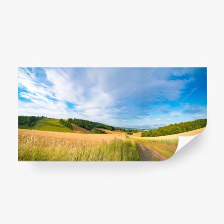 Papier peint matin doré au Kansas : paysage de blé panoramique – Wallnifity®