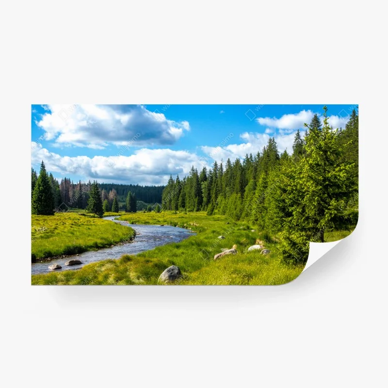 Papier peint rivière serpentant dans une forêt verdoyante – Wallnifity® Papier peint rivière serpentant dans une forêt verdoyante – Wallnifity®