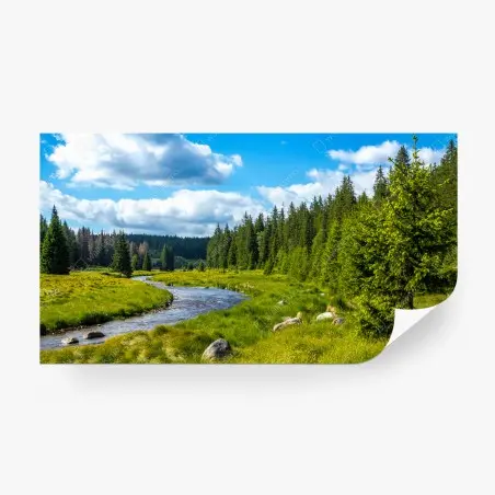 Papier peint rivière serpentant dans une forêt verdoyante – Wallnifity®