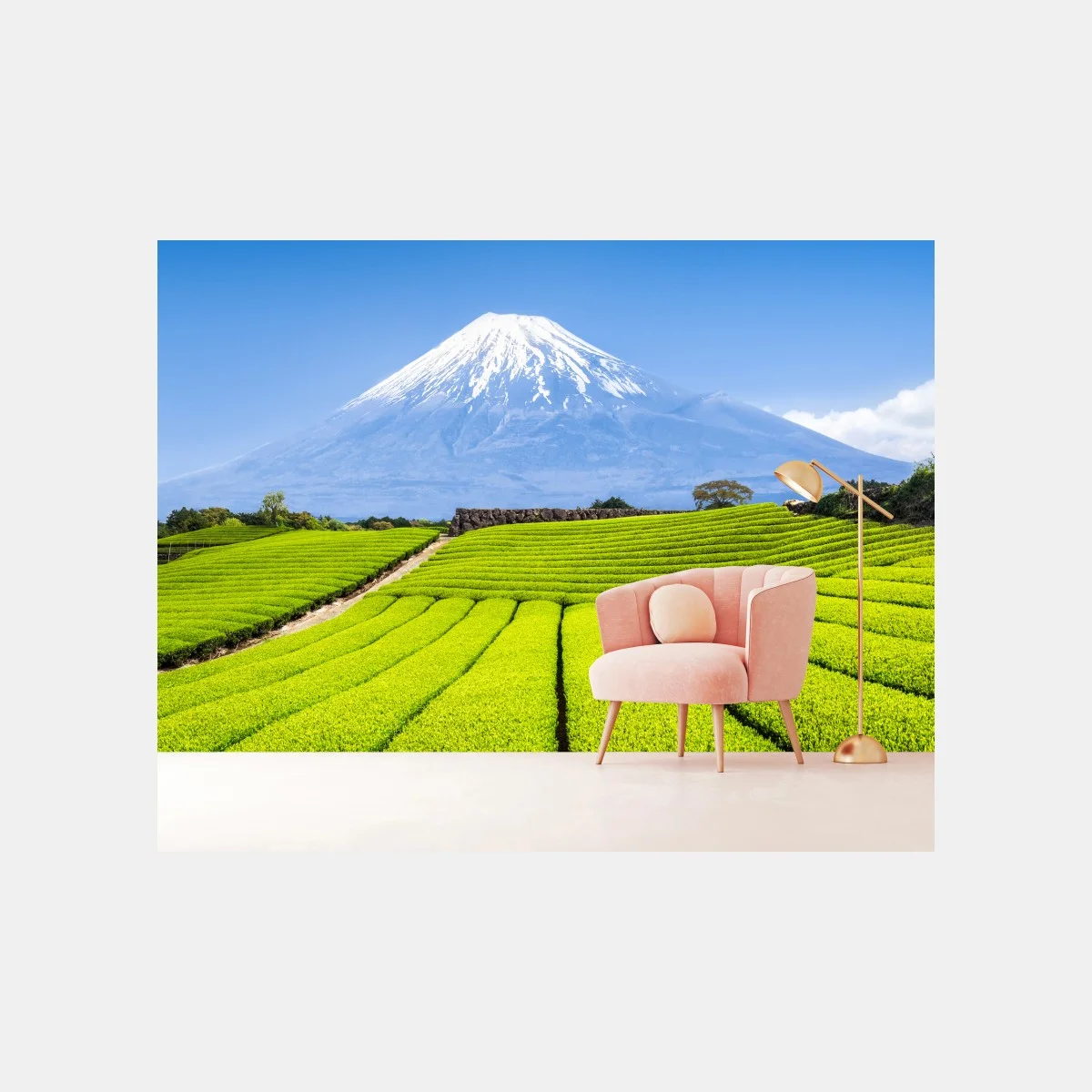 Papier peint paysage serein des plantations de thé et Mont Fuji – Wallnifity® Papier peint paysage serein des plantations de thé et Mont Fuji – Wallnifity®