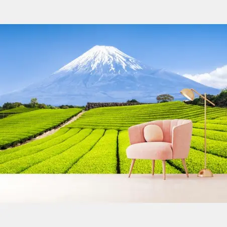 Papier peint paysage serein des plantations de thé et Mont Fuji – Wallnifity®