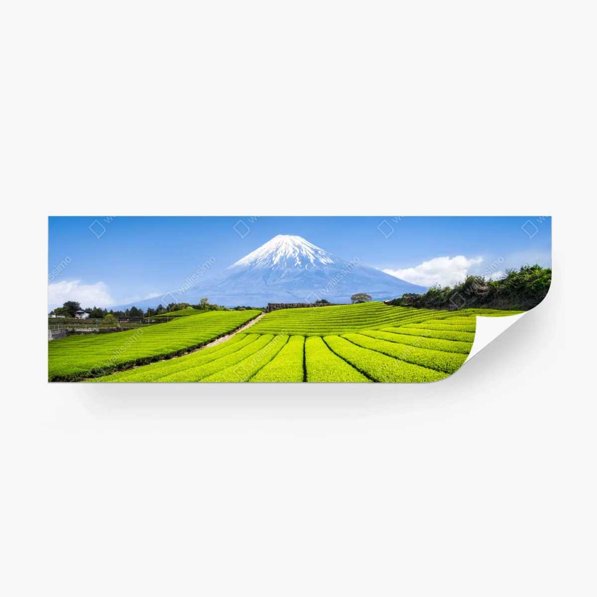 Papier peint paysage serein des plantations de thé et Mont Fuji – Wallnifity® Papier peint paysage serein des plantations de thé et Mont Fuji – Wallnifity®