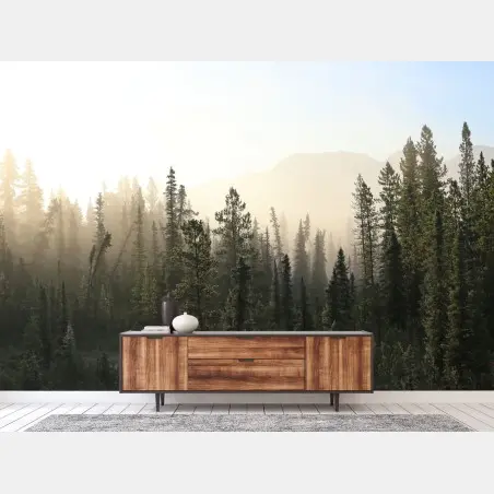 Papier peint forêt brumeuse au lever du soleil – Wallnifity®