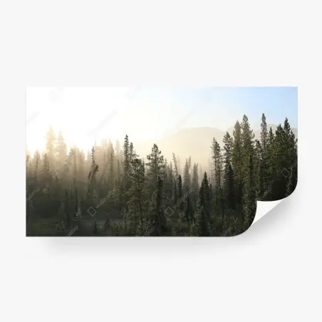 Papier peint forêt brumeuse au lever du soleil – Wallnifity®