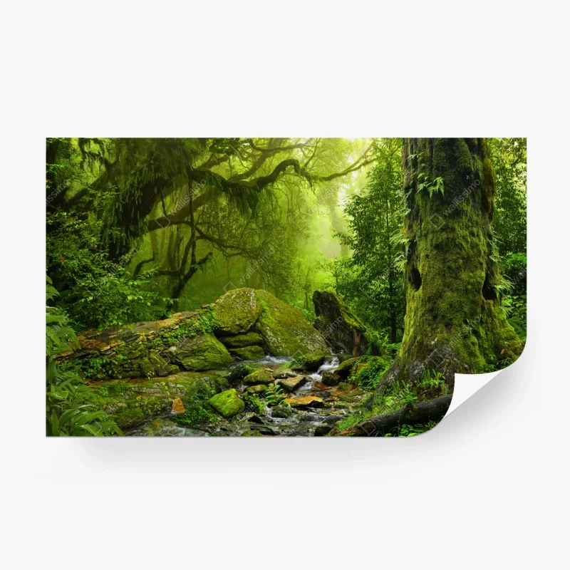 Papier peint clairière verte enchantée – Wallnifity®