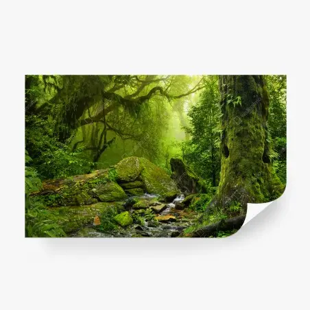 Papier peint clairière verte enchantée – Wallnifity®