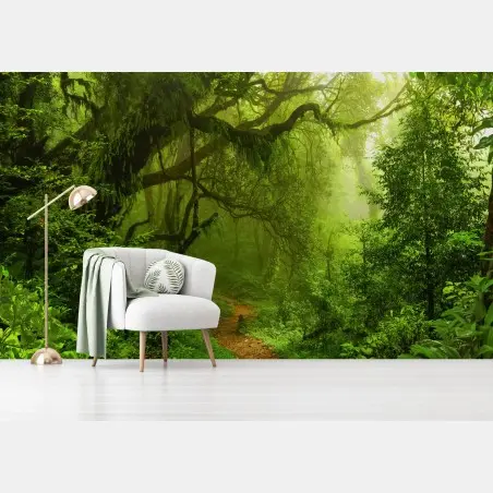 Papier peint sentier enchanté dans la forêt tropicale – Wallnifity®