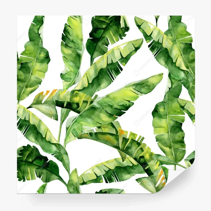 Papier peint motif feuilles de bananier aquarelle – Wallnifity® Papier peint motif feuilles de bananier aquarelle – Wallnifity®