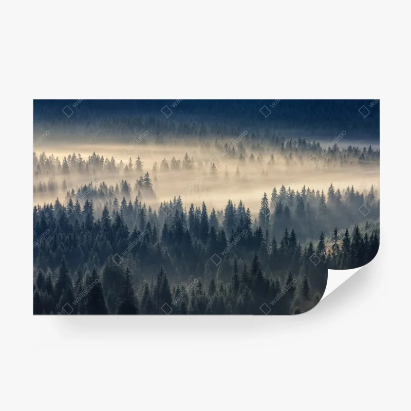 Papier peint brume matinale sur la vallée d'épicéas – Wallnifity® Papier peint brume matinale sur la vallée d'épicéas – Wallnifity®