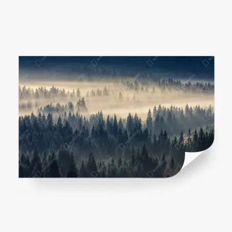 Papier peint brume matinale sur la vallée d'épicéas – Wallnifity®