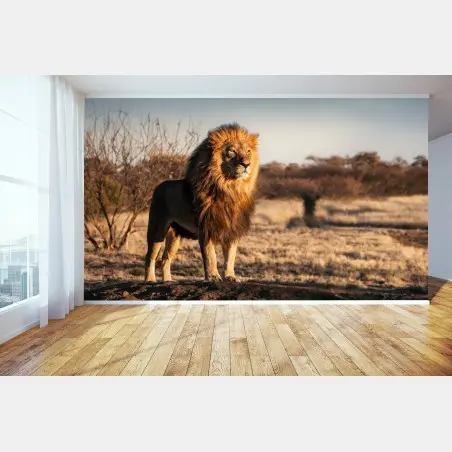 Papier peint le roi de la savane en majesté – Wallnifity®