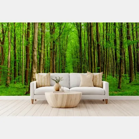 Papier peint forêt printanière au sentier lumineux – Wallnifity®