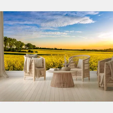 Papier peint champ de colza au coucher de soleil – Wallnifity®