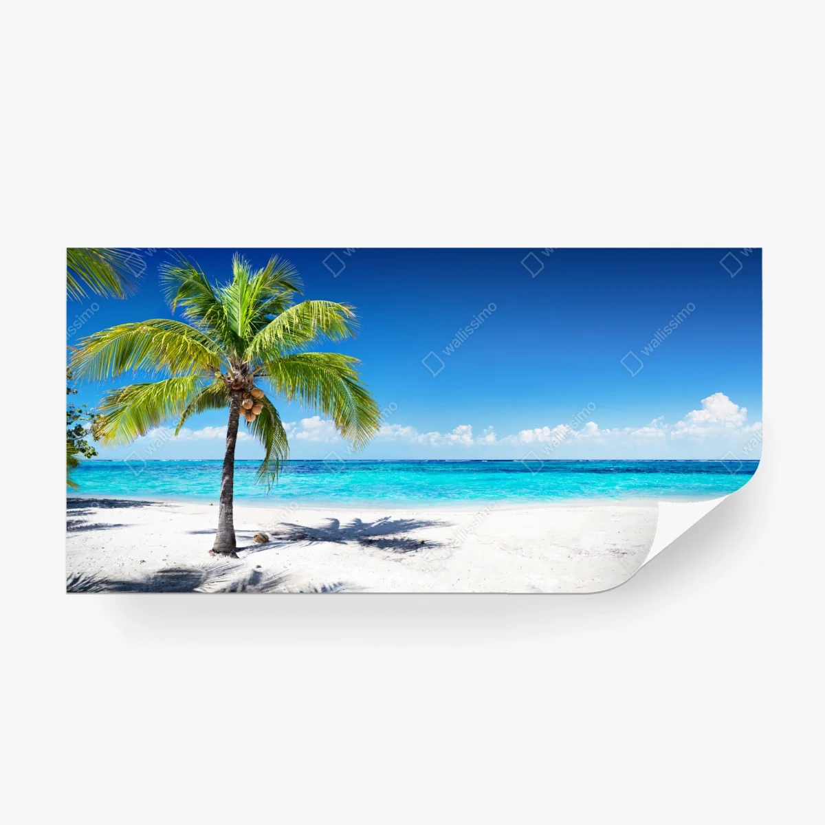 Papier peint paradis tropical en bord de mer – Wallnifity®