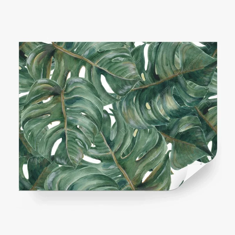 Papier peint motif feuilles de monstera tropicales – Wallnifity®
