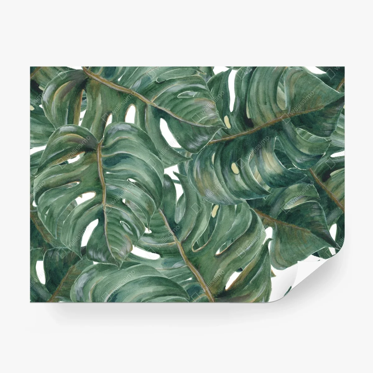 Papier peint motif feuilles de monstera tropicales – Wallnifity®