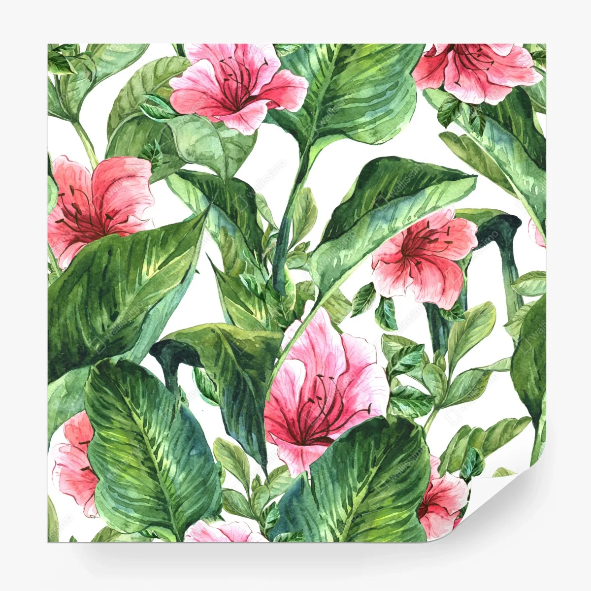 Papier peint motif floral tropical en aquarelle – Wallnifity®