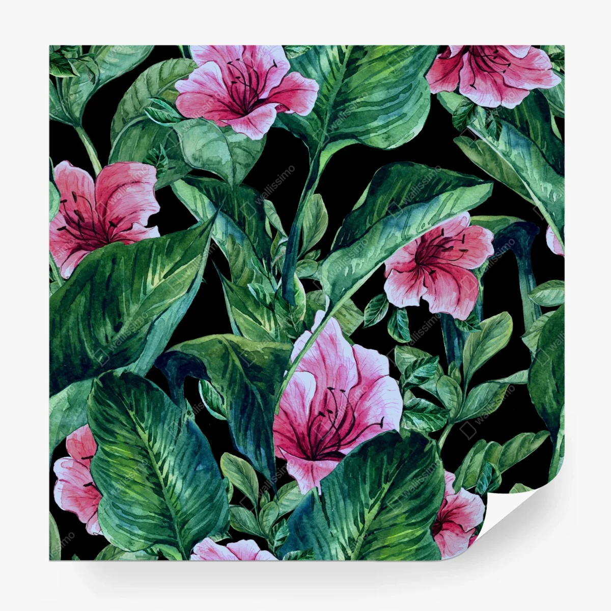 Papier peint motif floral tropical sur fond noir – Wallnifity® Papier peint motif floral tropical sur fond noir – Wallnifity®