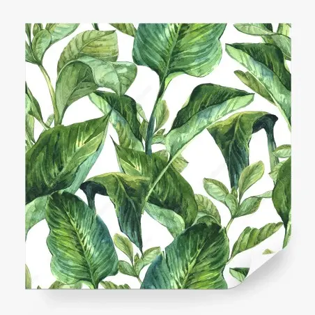 Papier peint motif de feuilles tropicales en aquarelle – Wallnifity®