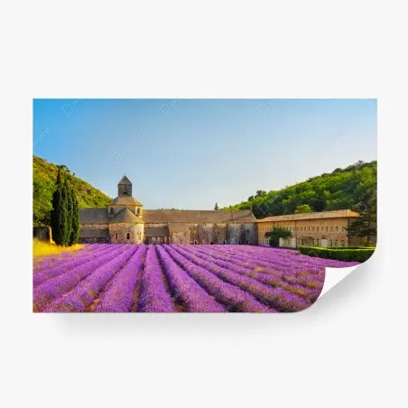 Papier peint coucher de lavande à l'Abbaye de Sénanque – Wallnifity®