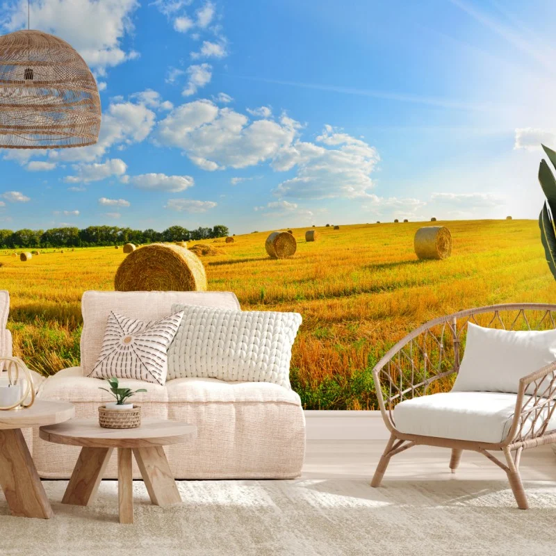 Paysages – Wallnifity®