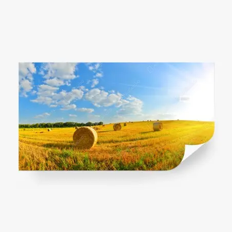 Papier peint champ doré de bottes de foin au soleil – Wallnifity®