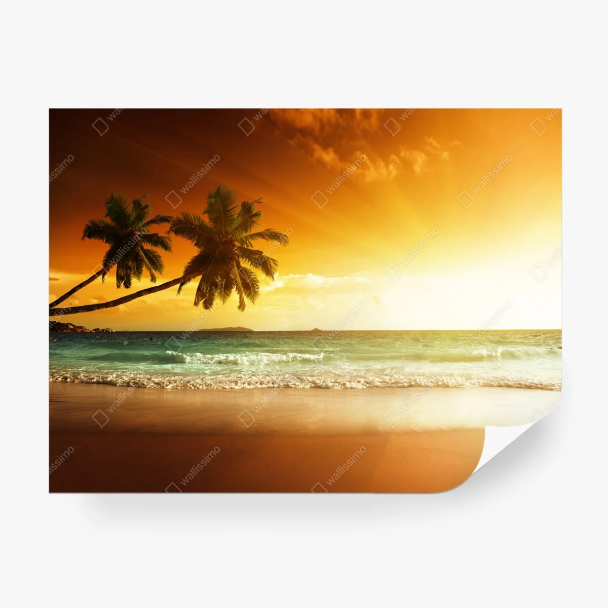 Papier peint coucher de soleil tropical aux Caraïbes – Wallnifity®