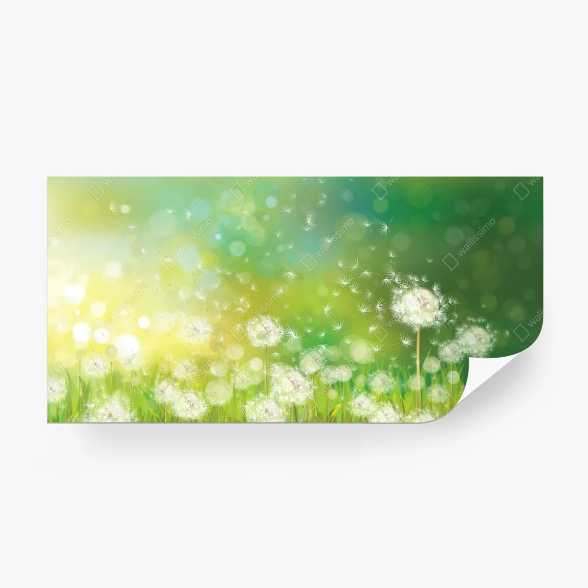 Papier peint rêverie de pissenlits printaniers – Wallnifity®