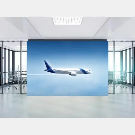 Papier peint avion en plein vol sur ciel bleu – Wallnifity®