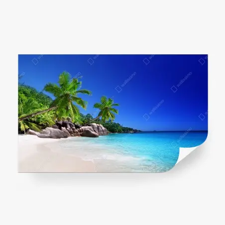 Papier peint plage tropicale paradisiaque aux palmiers – Wallnifity®