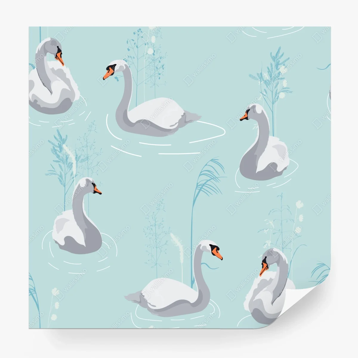 Papier peint cygnes sur fond bleu pastel – Wallnifity®