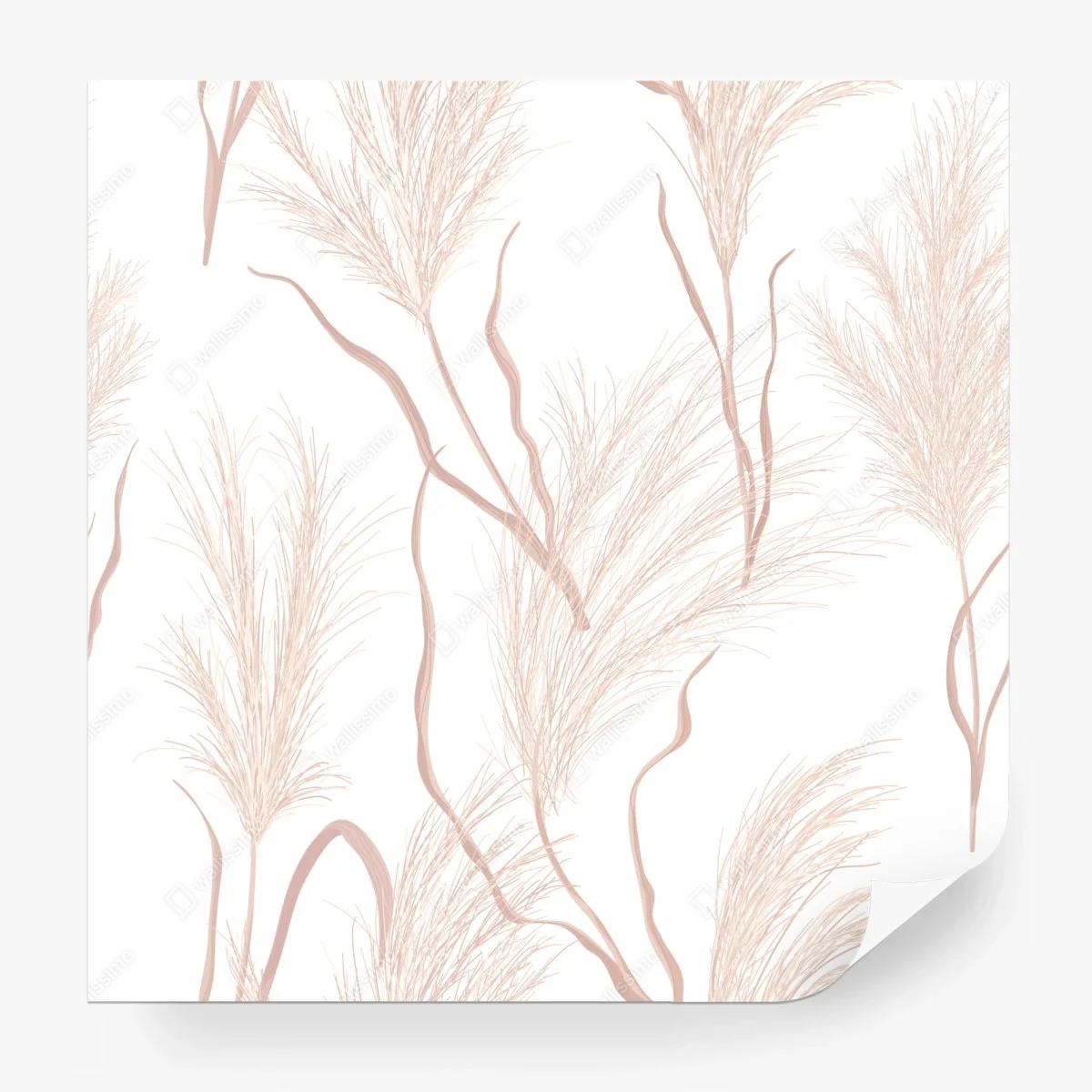 Papier peint douceur de pampas nude – Wallnifity® Papier peint douceur de pampas nude – Wallnifity®
