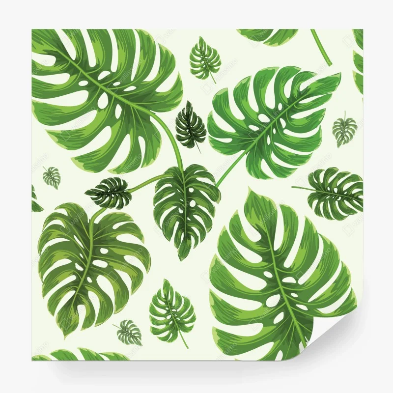 Papier peint motif tropical de feuilles de monstera – Wallnifity® Papier peint motif tropical de feuilles de monstera – Wallnifity®