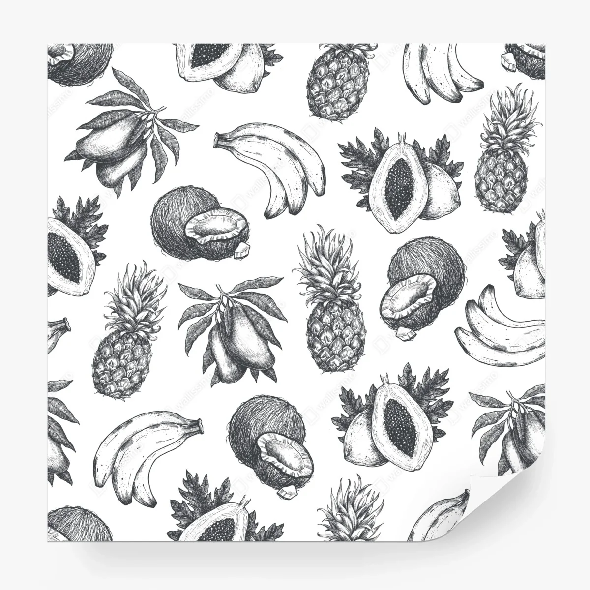 Papier peint motif fruits tropicaux croquis en noir et blanc – Wallnifity® Papier peint motif fruits tropicaux croquis en noir et blanc – Wallnifity®